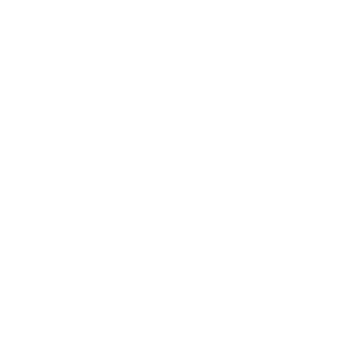 district leadership icon